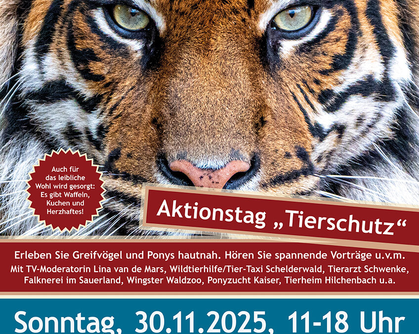 Aktionstag „Tierschutz“ am 30.11.2025 – Die Seele des Tieres wird lebendig